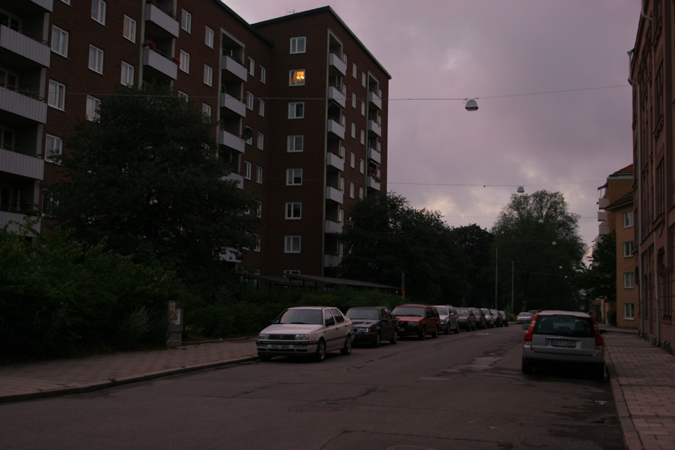 Ensam hemma